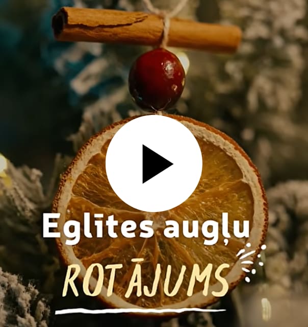 Eglītes augļu rotājums