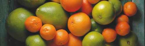 Fresh fruit and berries