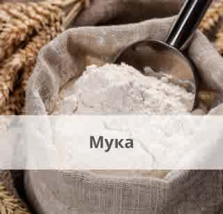 Мука