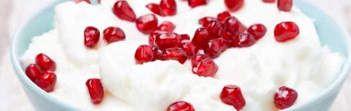 Curd, yogurt and sour cream