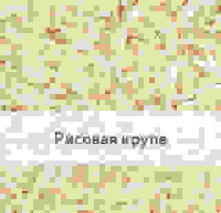 Рисовая крупа