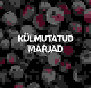 Külmutatud marjad