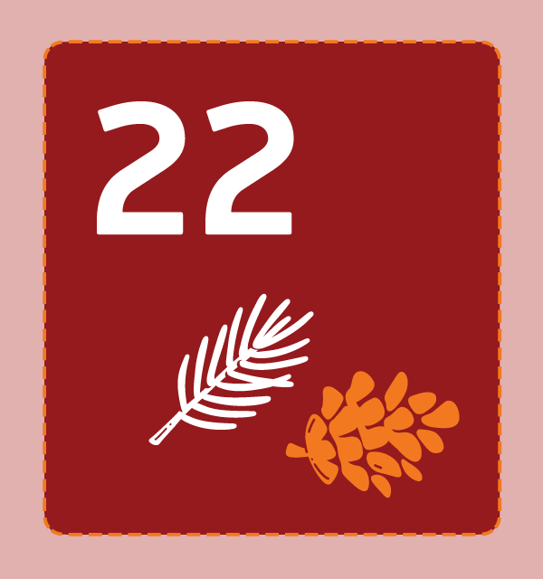 22. detsember