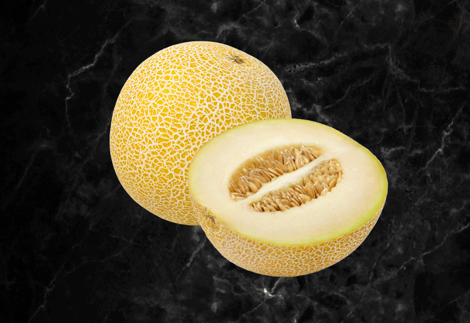 Galia melon