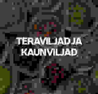 Terjaviljad ja kaunviljad