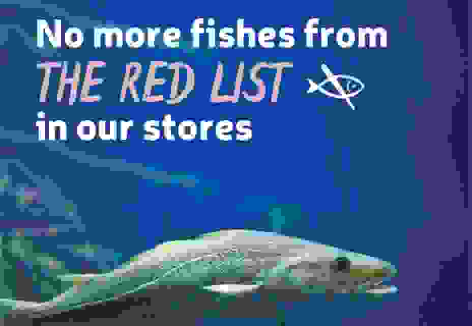 More information