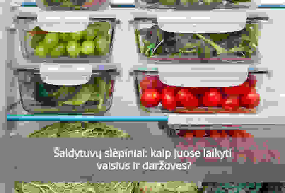 Šaldytuvų slėpiniai: kaip juose laikyti vaisius ir daržoves?