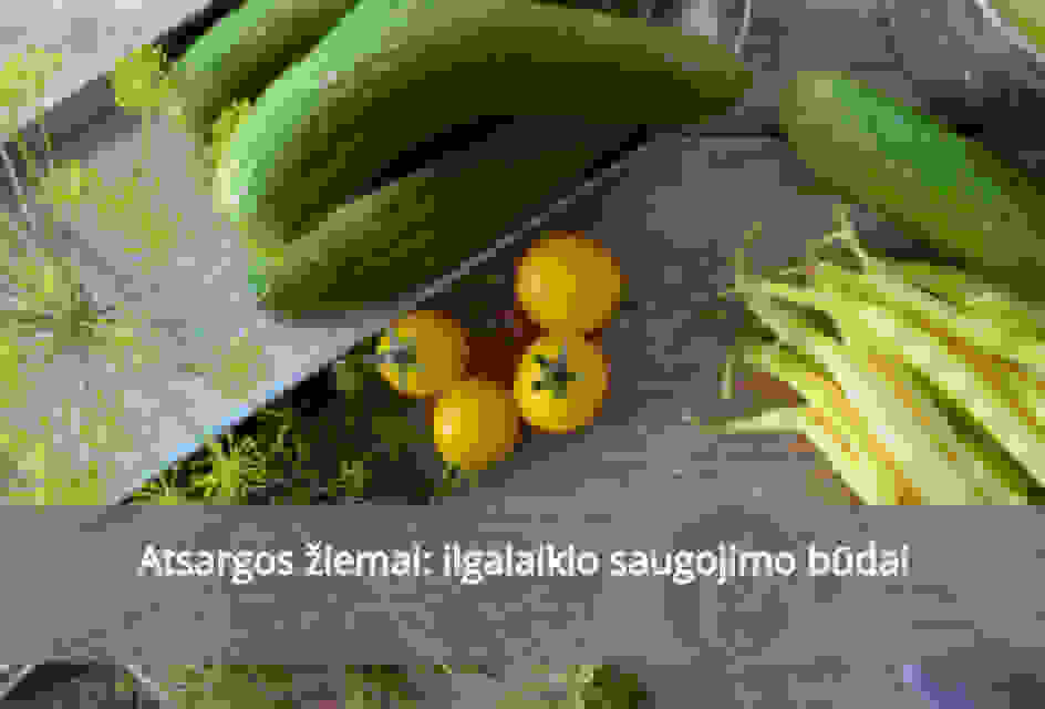 Atsargos žiemai: ilgalaikio saugojimo būdai