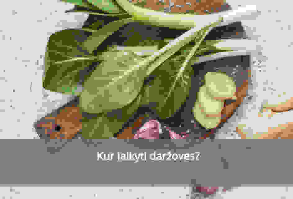 Kur laikyti daržoves?