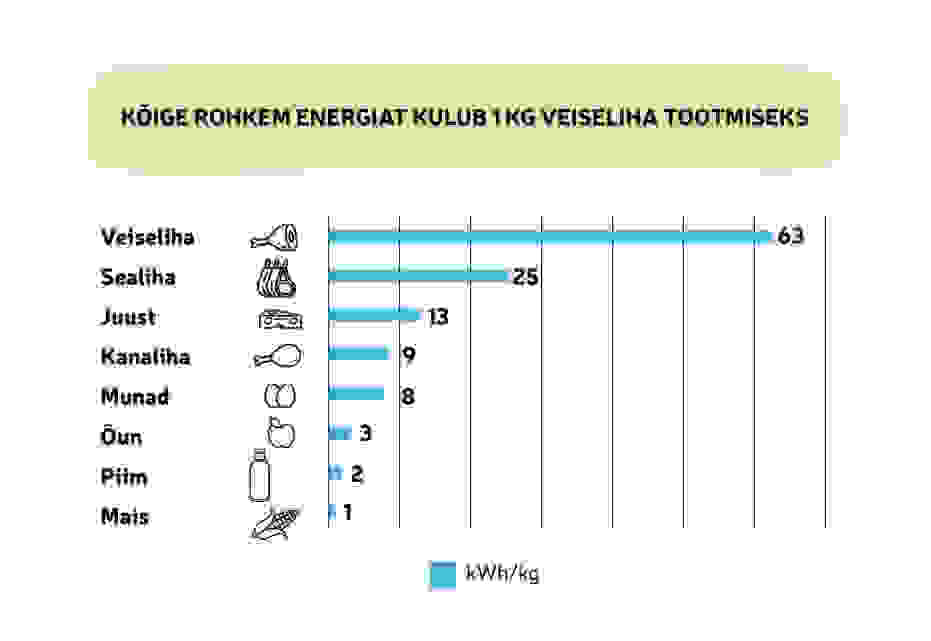 Energiatarbimine lihatootmises