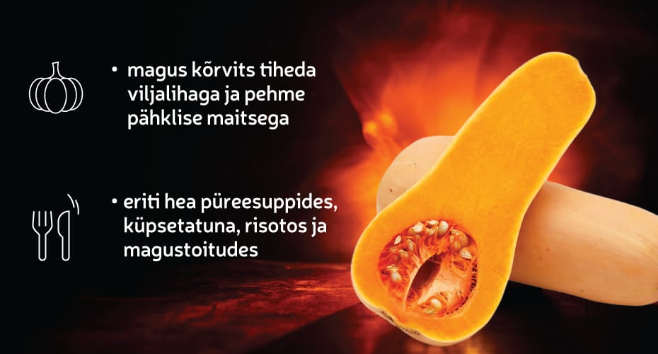 Muskaatkõrvits