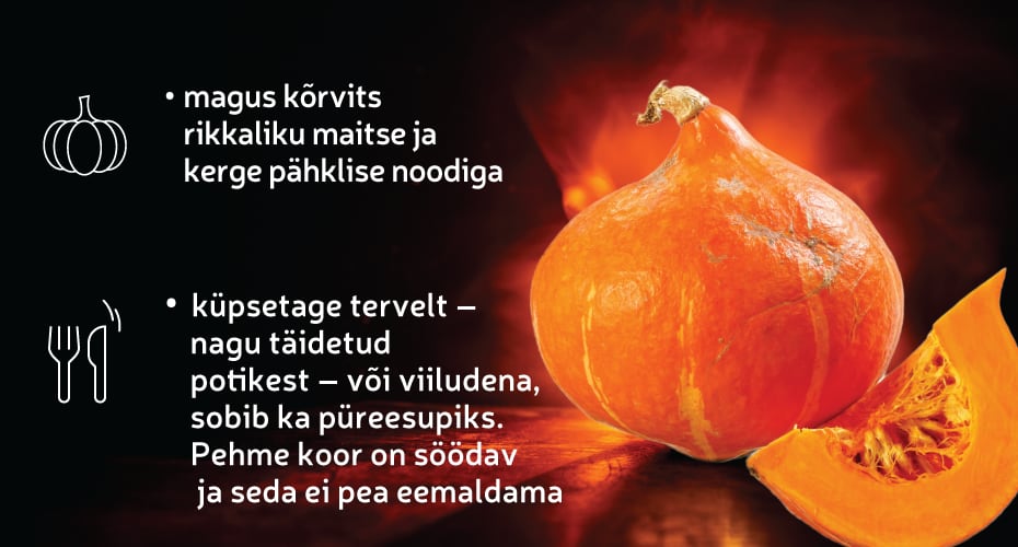 Hokkaido kõrvits