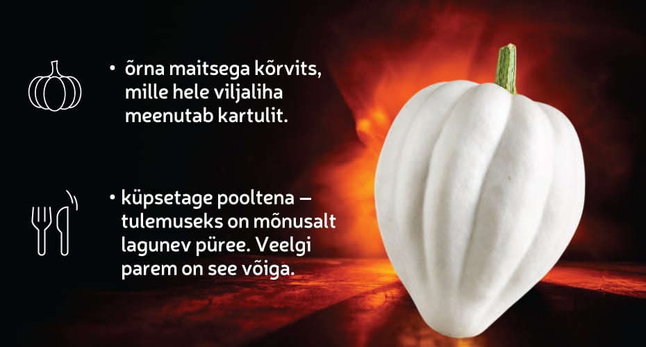 Kõrvits Mashed Potato