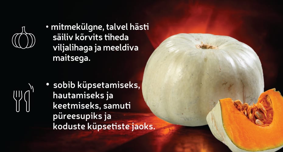 Talikõrvits