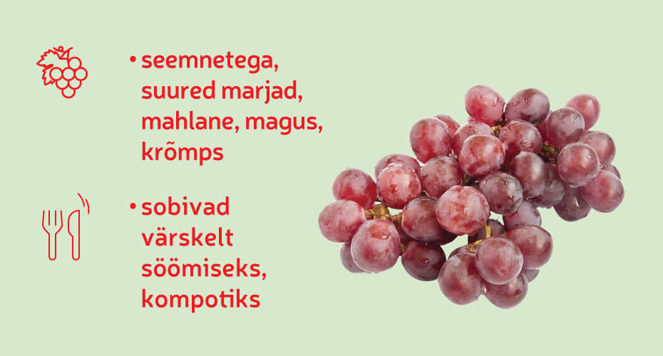 Punane seemnetega viinamari Red Globe