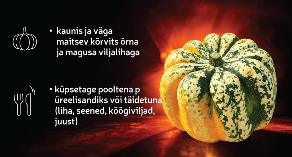 Kõrvits Celebration