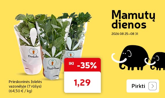 Prieskoninės žolelės vazonėlyje (7 rūšys)