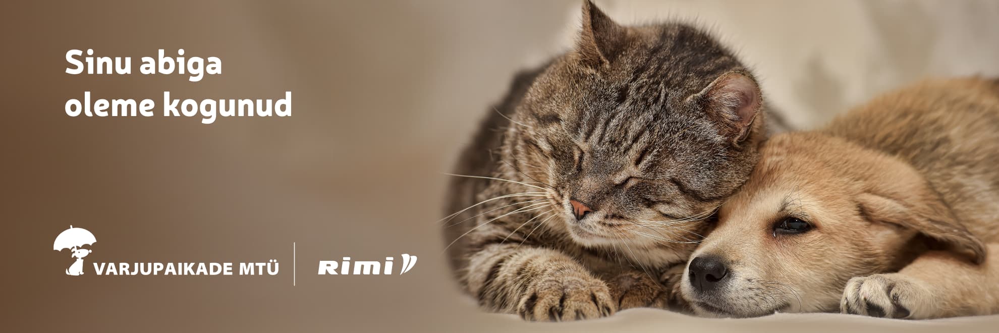 Varjupaikadele kogutud