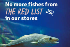 Rimi stops buying fish from the Red List